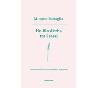 Un filo d'erba tra i sassi