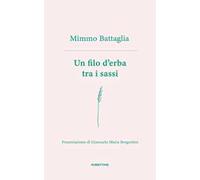 Un filo d'erba tra i sassi