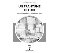 Un frantume di luci. Haiku, waka, tanka e altre forme brevi