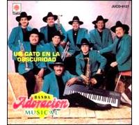 Un Gato En La Obscuridad