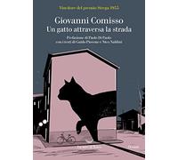 Un gatto attraversa la strada