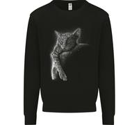 Un Gatto Che Dorme Sulla Luna Uomo Felpa Maglione
