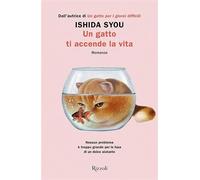 Un gatto ti accende la vita