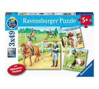 Un giorno a scuola di equitazione, 3x. 1 St