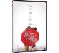 Un giorno di pioggia a New York (DVD)