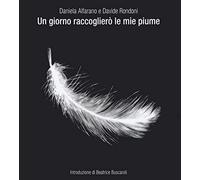 Un giorno raccoglierò le mie piume. Ediz. illustrata