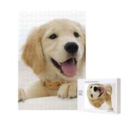 Un Golden Retriever,Puzzle in legno da 300 pezzi per adulti e adolescenti