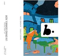 Un grand sommeil noir