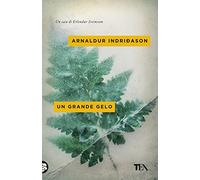 Un grande gelo. I casi dell'ispettore Erlendur Sveinsson (Vol. 5)