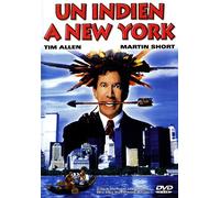 Un indien à New York