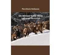 Un intruso tra le rocce di Piervittorio Stefanone, 2018, Youcanprint