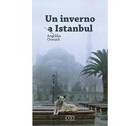 Un inverno a Istanbul