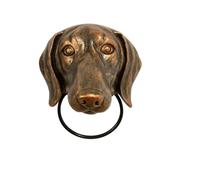 Un ko antico, Batacchio for porta a forma di testa animale in resina multicolore(D)