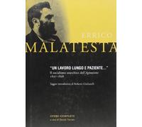 «Un lavoro lungo e paziente...». Il socialismo anarchico dell'agitazione 1897-1898