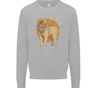 Un Leonberger Cane Bambini Felpa Maglione