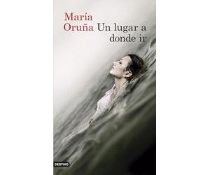 Un lugar a donde ir: Los libros del Puerto Escondido 2