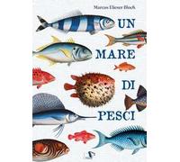 Un mare di pesci. Ediz. a colori