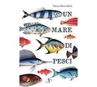 Un mare di pesci. Ediz. a colori