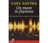 Un mare in fiamme. Il più grande disastro ecologico di tutti i tempi