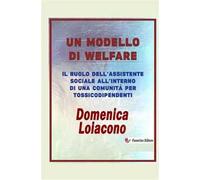 Un modello di Welfare. Il ruolo dell'assistente sociale all'interno di una comunità di tossicodiopendenti