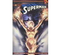 Libri Superman - Un Mondo Contro Superman #02