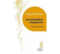 Un moscerino stupefatto. Lettere d'amicizia