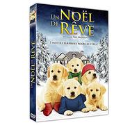 Un noël de rêve [Edizione: Francia]