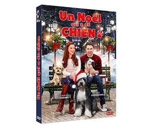 Un noel qui a du chien
