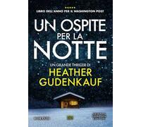 Un ospite per la notte