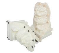 Un Paio Per Mini Statue Leone In