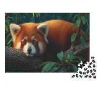 Un panda rosso riposa su un ramo nella Forestaa himalayana Puzzle 1000Pcs Decorazione Per La Casa. Rilassamento E Intelligence Per Adulti E Bambini Da 14 Anni 1000pcs (75x50cm)
