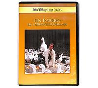 Un papero da un milione di dollari