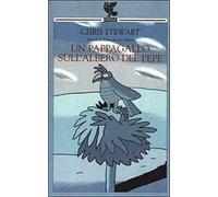 Un pappagallo sull'albero del pepe