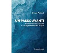Un passo avanti. Riflessioni sulla tutela e sulla gestione dell'acqua
