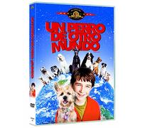 Un Perro De Otro Mundo (Import Dvd) (2004) Molly Shannon; Kevin Nealon; Liam A...