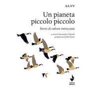Un pianeta piccolo piccolo. Nuova ediz.