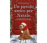 Un piccolo amico per Natale