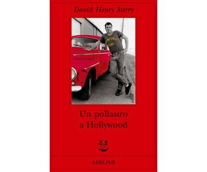 Un pollastro a Hollywood - Sterry David H.