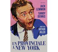 Un Provinciale A New York