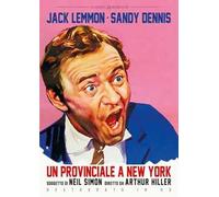 Un provinciale a New York. Restaurato in HD (DVD)
