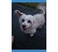 Un Psicoanalisis del "Yo": Conócete a ti mismo y Encuentra paz en ti.