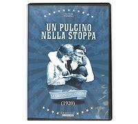 Un Pulcino Nella Stoppa(1920)