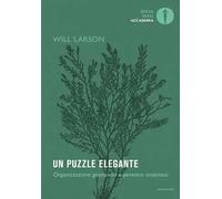 Un puzzle elegante. Organizzazione gestionale e pensiero sistemico