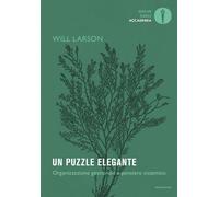 Un puzzle elegante. Organizzazione gestionale e pensiero sistemico - Larson Will