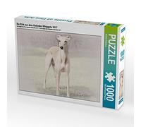 Un quadro del calendario Whippets 2017 1000 pezzi Puzzle orizzontale
