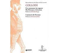 Un romanzo in vapore. Da Firenze a Livorno-I misteri di Firenze