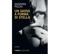 Un sasso a forma di stella - Picchi Giovanni