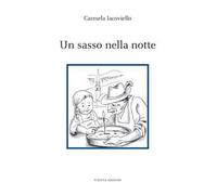 Un sasso nella notte