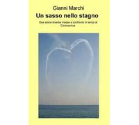 Un sasso nello stagno. Due storie diverse messe a confronto in tempi di Coronavirus