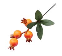 un tocco di bellezza nel per tuo spazio con un ramo di frutta melograno simula